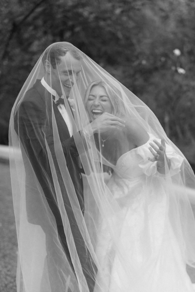 The Classics Veil5 The Classics Veil5