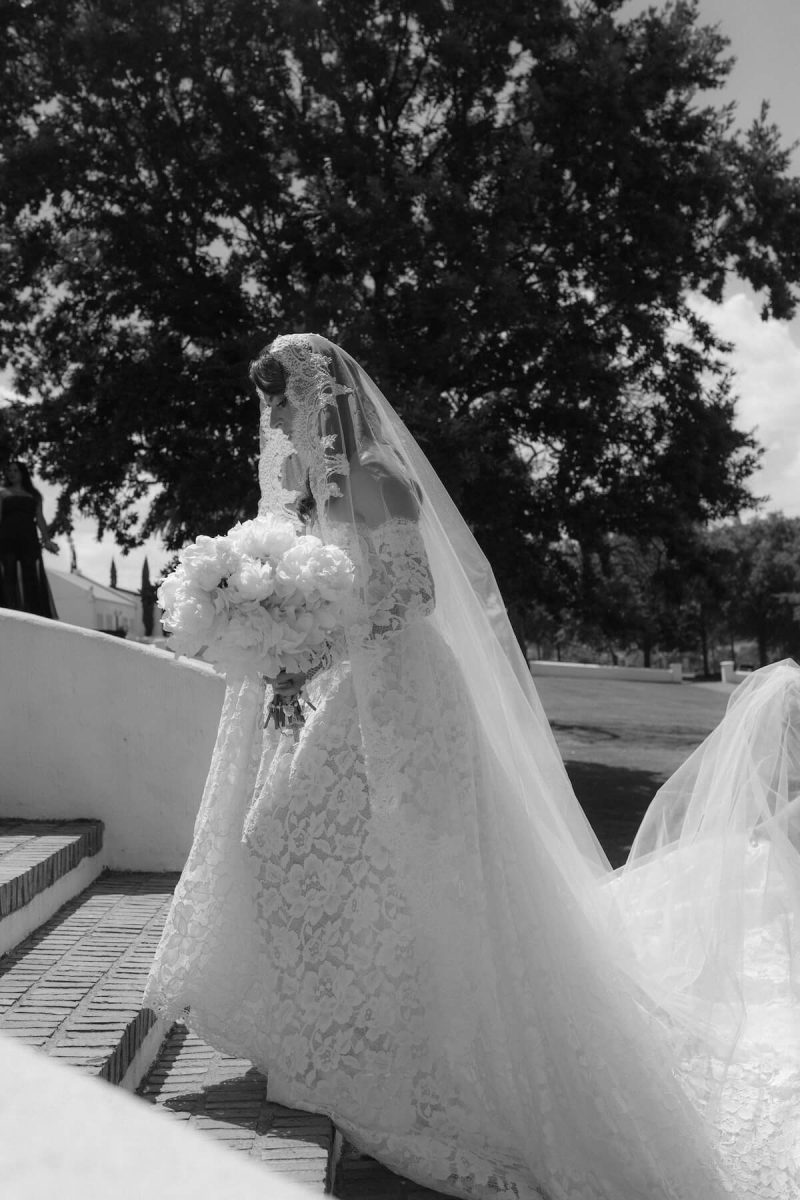 The Nicole Veil 2